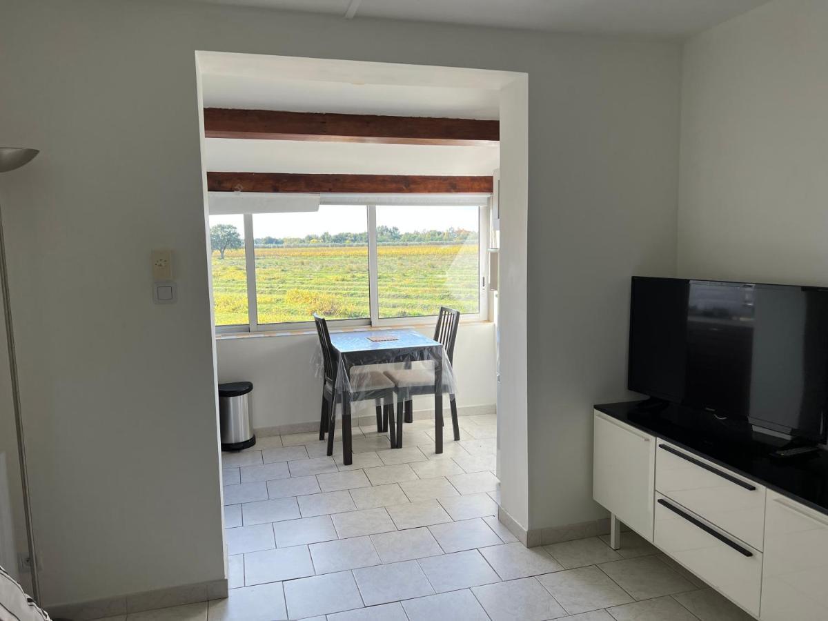 Joli Studio Tres Clair A Proximite Mer Pour 3 Personnes La Londe-les-Maures Eksteriør billede