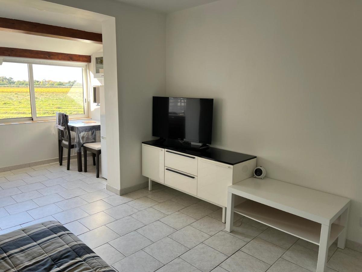 Joli Studio Tres Clair A Proximite Mer Pour 3 Personnes La Londe-les-Maures Eksteriør billede