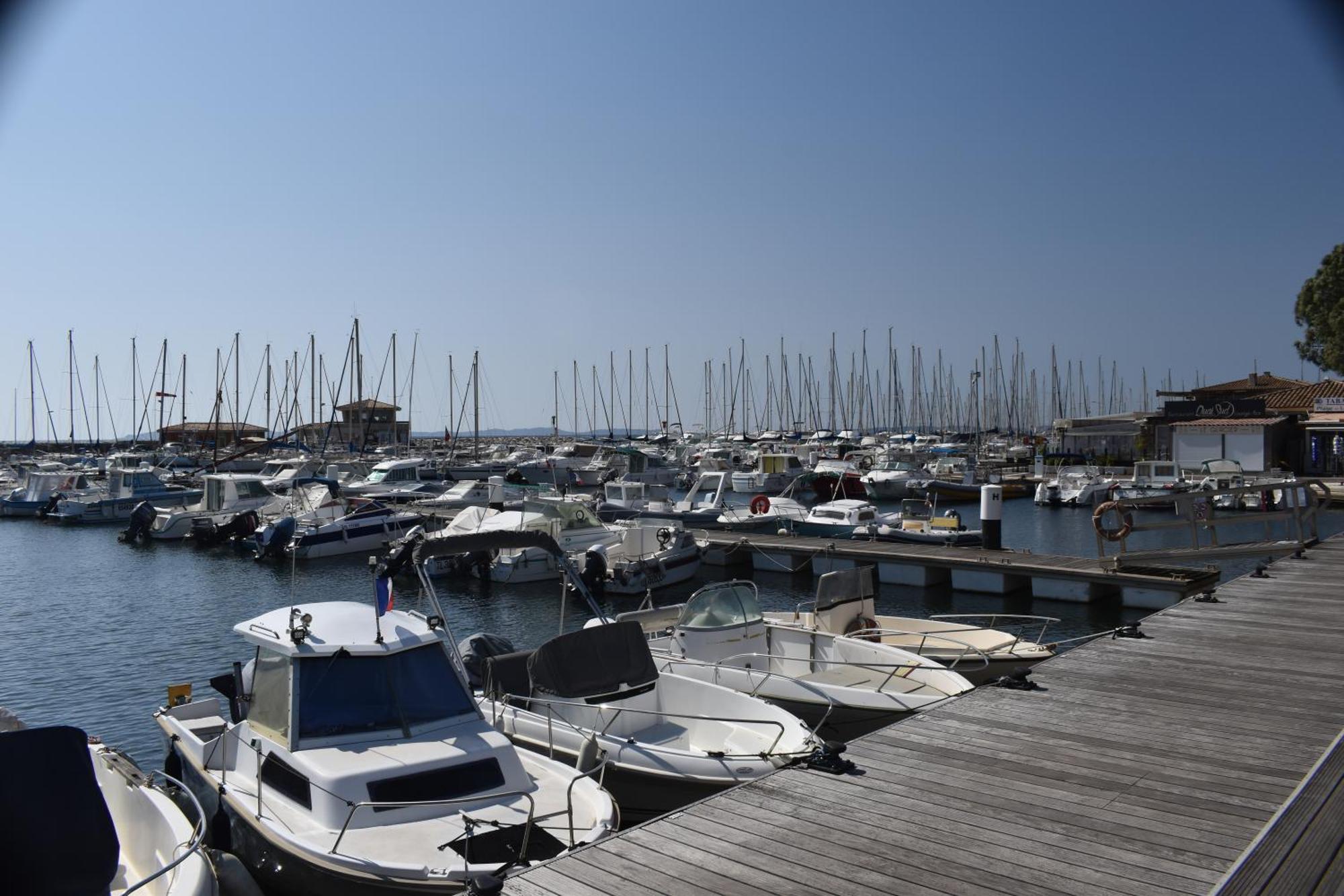 Joli Studio Tres Clair A Proximite Mer Pour 3 Personnes La Londe-les-Maures Eksteriør billede