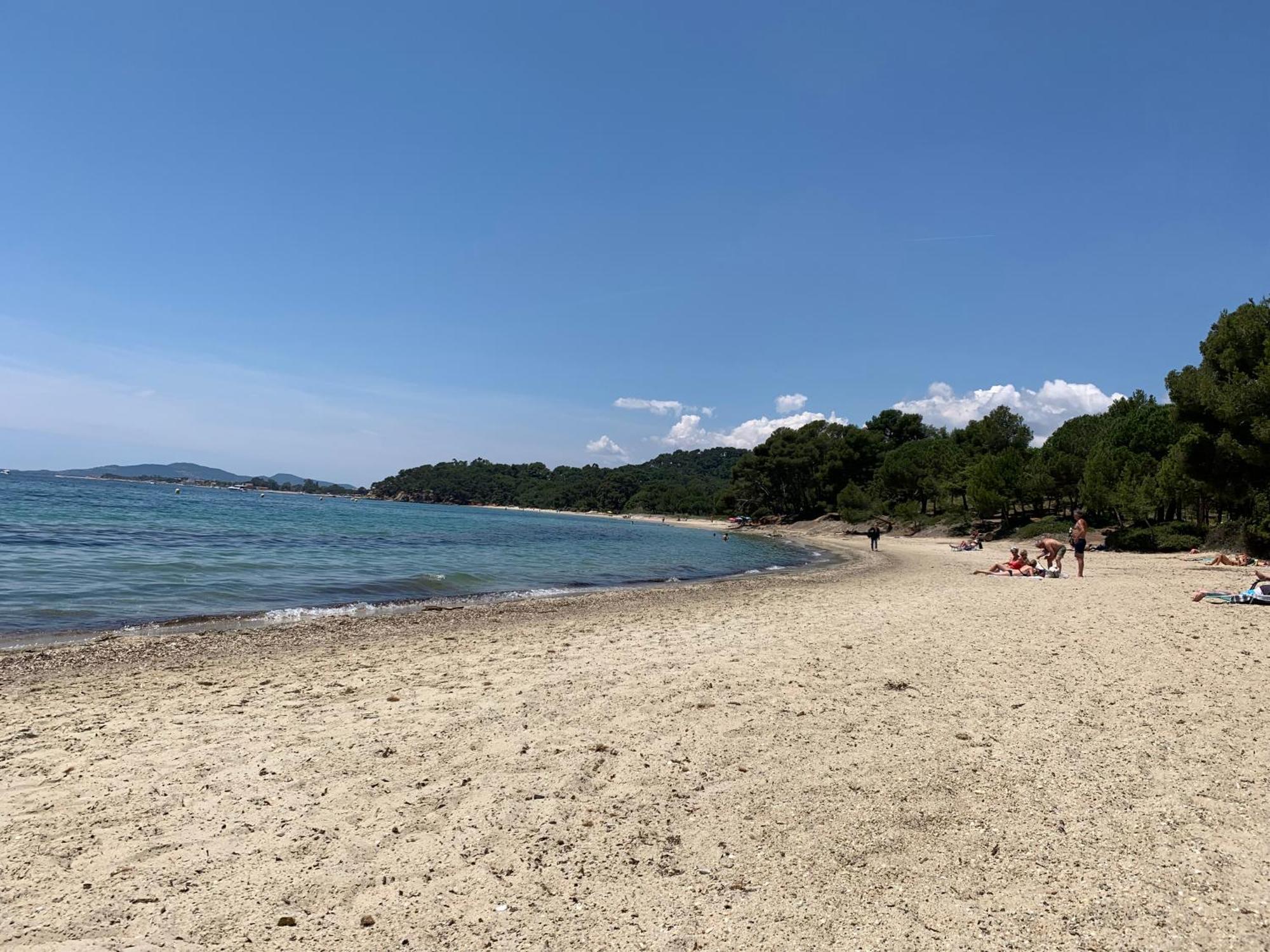 Joli Studio Tres Clair A Proximite Mer Pour 3 Personnes La Londe-les-Maures Eksteriør billede