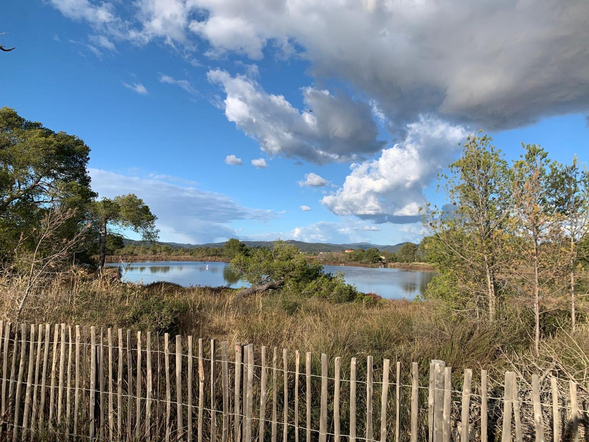 Joli Studio Tres Clair A Proximite Mer Pour 3 Personnes La Londe-les-Maures Eksteriør billede