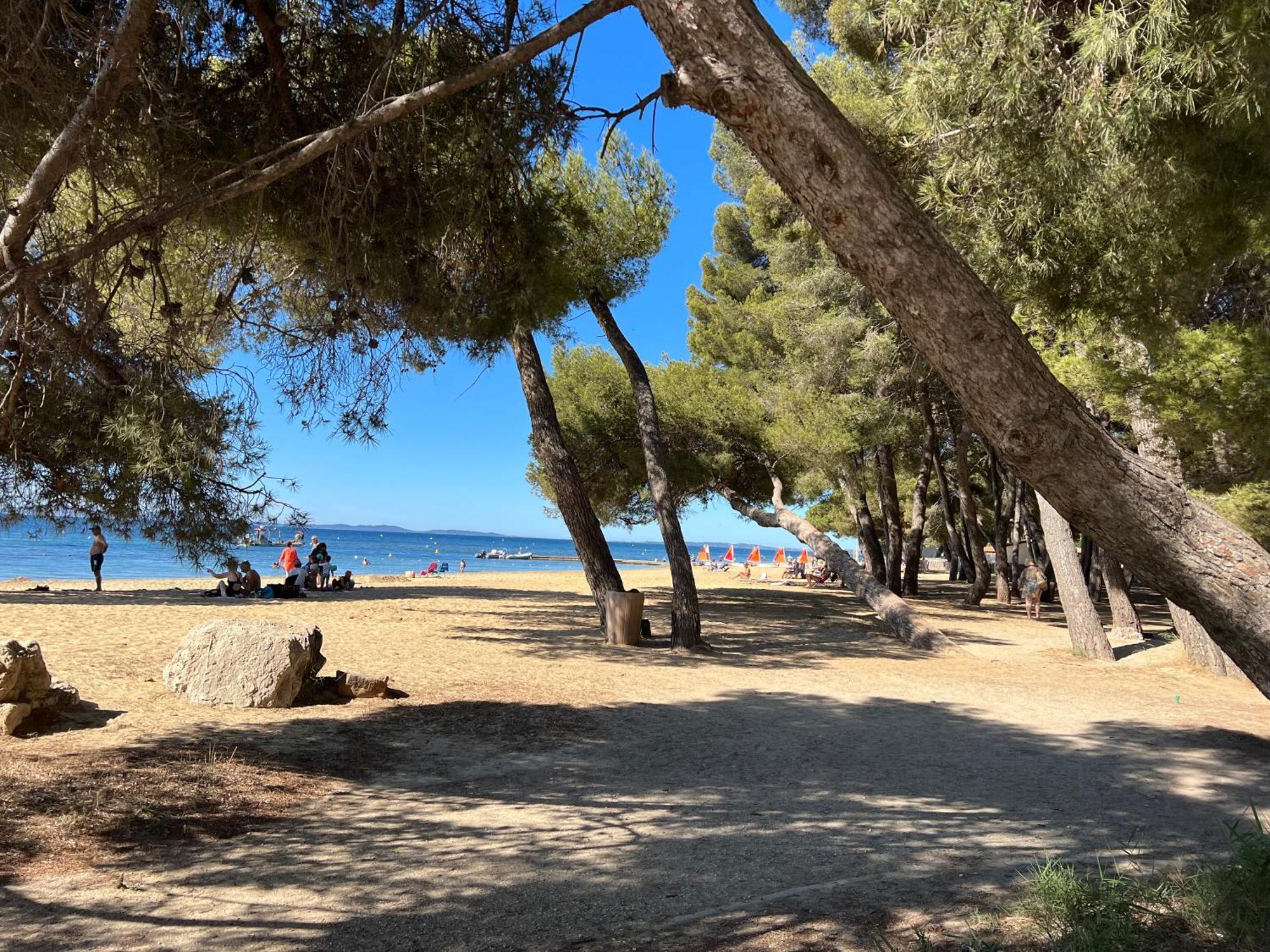 Joli Studio Tres Clair A Proximite Mer Pour 3 Personnes La Londe-les-Maures Eksteriør billede