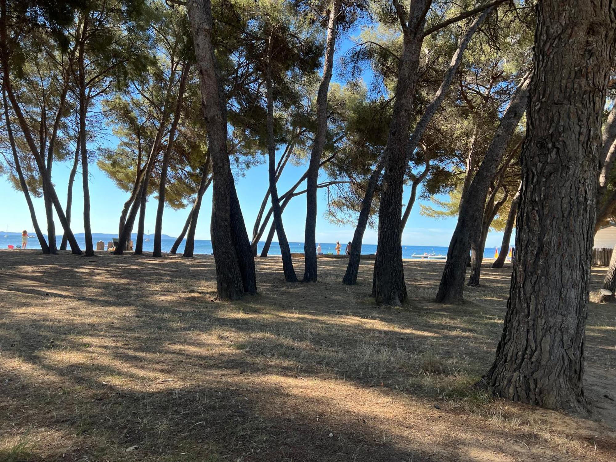 Joli Studio Tres Clair A Proximite Mer Pour 3 Personnes La Londe-les-Maures Eksteriør billede