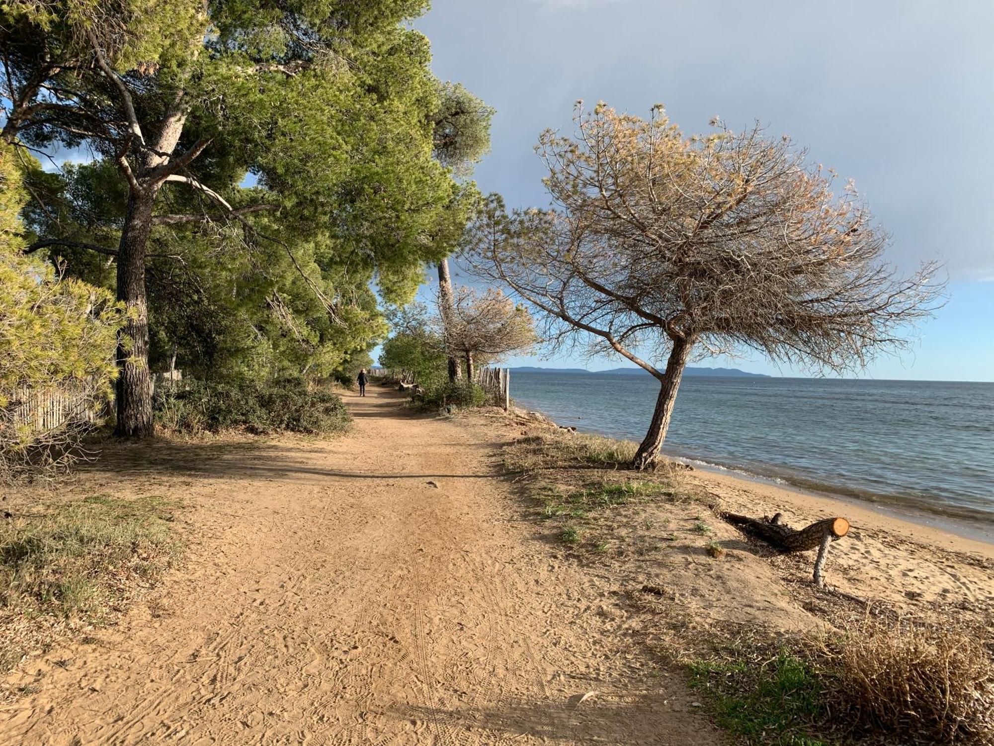 Joli Studio Tres Clair A Proximite Mer Pour 3 Personnes La Londe-les-Maures Eksteriør billede